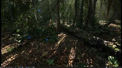 MAWI Tropical Rainforest | Unreal Engine 5.1 | Fauna Test #unrealengine #UE5 #gamedev