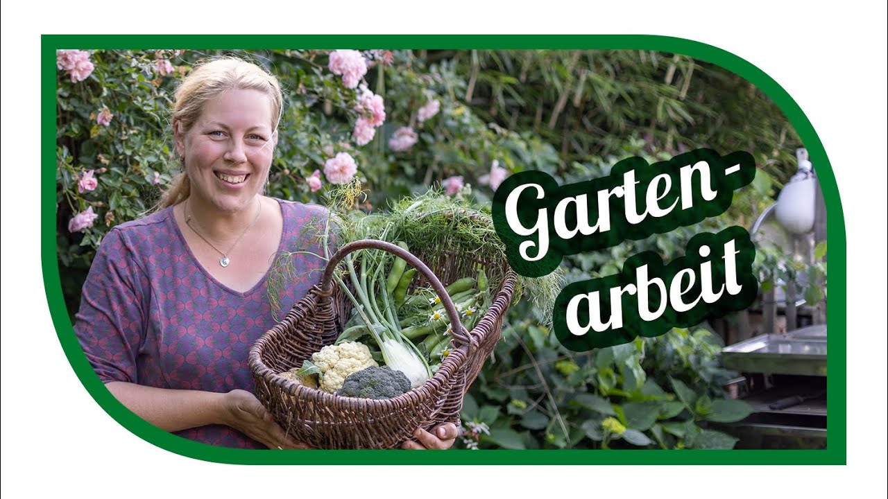 Gartenarbeit im Juni und ein kleiner Gartenrundgang Erste Aussaaten