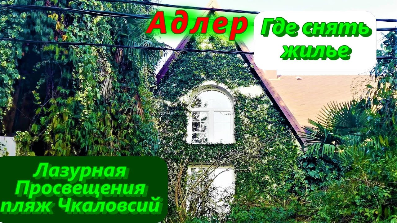 Адлер лазурная 7 карина