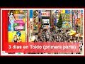 3 Días en Tokio (1/2). Qué ver, información útil y consejos.