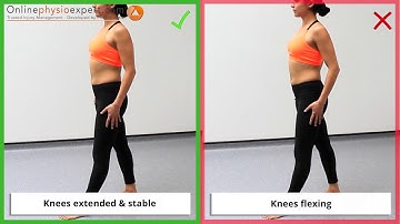 Standing lumbar flexion mobility with step L