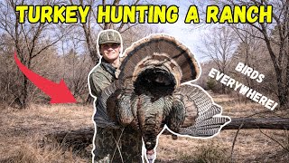 I Went TURKEY HUNTING at an INFESTED RANCH!