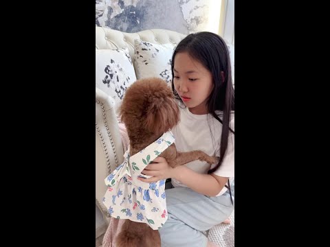 晨妤有多喜欢小动物，爱不释手 #vlog日常 #小女孩 #宠物