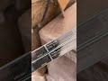 فوج نعناع ٣٥٠ الكرز فوج نعناع ٣٥٠ الكرز