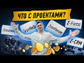 ЧТО С ПРОЕКТАМИ? ZvanForum, ZvanHelp, ZvanInvest, Z-Force, Z-CRM. Сотрудничество.