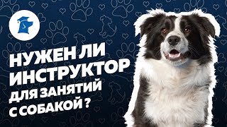 Нужен ли инструктор для занятий с собакой Нужен ли инструктор для занятий с собакой