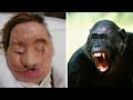 10 Animal Pets That Attacked Their Owner!