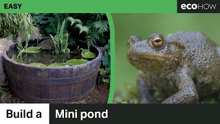 How to make a mini pond