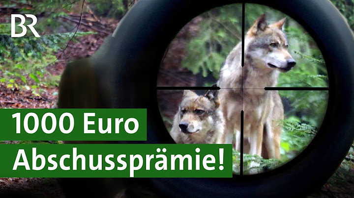 Wolf schießen erlaubt! Landwirte zahlen Jägern Abschussprämie | Österreich | Unser Land | BR