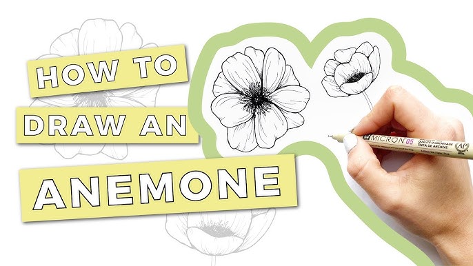 HOW TO DRAW A PEONY FLOWER: Step-By-Step Tutorial - YouTube