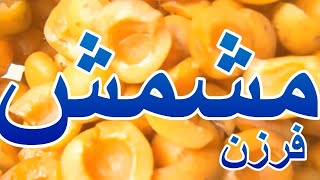 مشمش // الحقى شيلى مشمش //  بالطريقة دى ف الفريزر - Keep apricots in the freezer