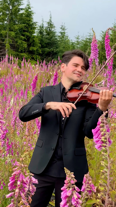 Download lagu Felicità - David Bay