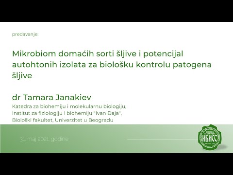 Video: Ispitivanje Patogenosti I Ozbiljnosti Bakterija Lactococcus Garvieae Izoliranih S Farmi Duginja (Oncorhynchus Mykiss) U Kohkilooieh I Provinciji Boyerahmad