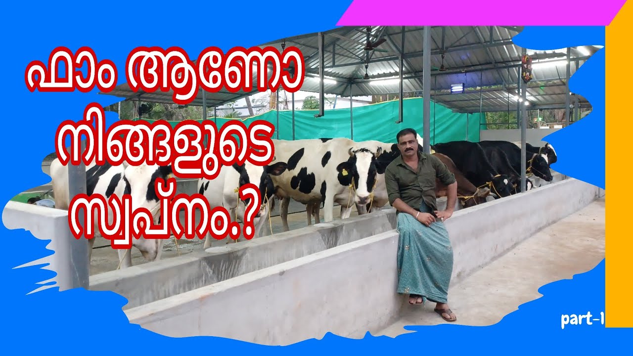 LOW BUDGET HI-TECH DAIRT FARM| ഏറ്റവും ചിലവ് കുറഞ്ഞ രീതിയിൽ ഒരു ഹൈ ടെക് ഡയറി ഫാം | FARM CREATOR