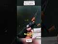 Testing 60CM Lure for River Giant!#ytshorts