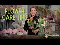 How to make fresh flowers last longer  flowerhub
