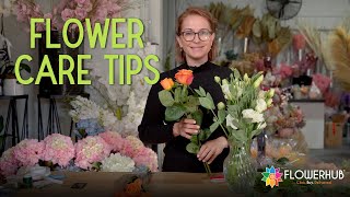How to Make Fresh Flowers Last Longer? | FLOWERHUB