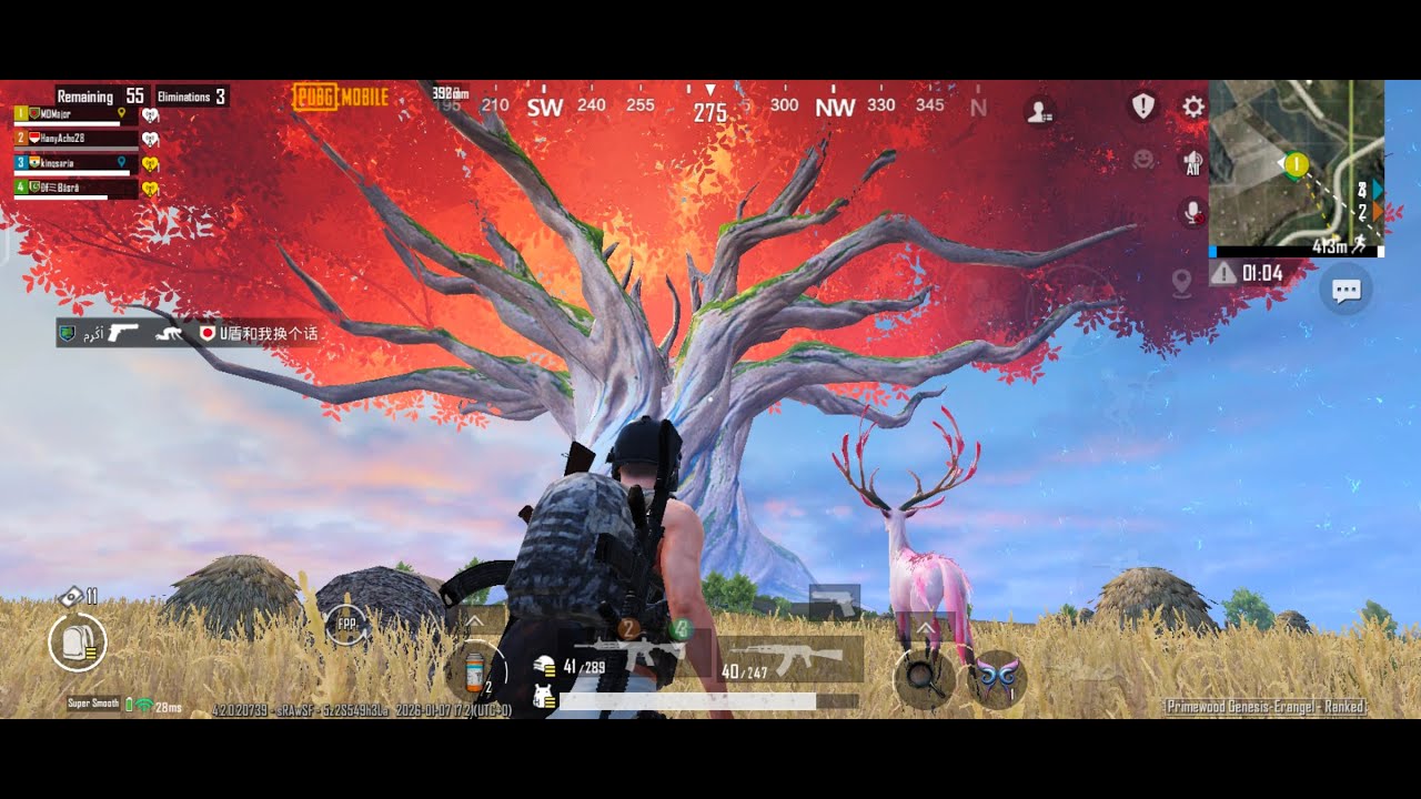 অবিশ্বাস্য গেম প্লে  ছিল 💥 30kill 😱 New version  4.2 Primewood Genesis Erangel map