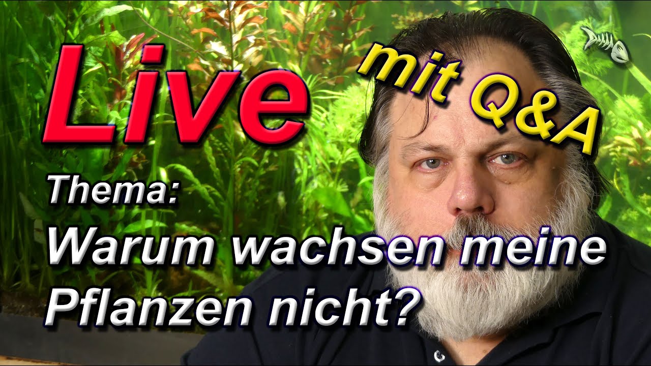 LIVE - mit Q&A - Warum wachsen meine Pflanzen nicht? - YouTube