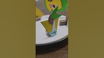 Science 3D model for school project #scienceproject #sciencetlm Science TLM for upper primary class