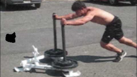 DeFrancosGym.com - Prowler flu strikes NJ!!!