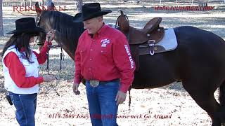 0119-2000 Josey-Mitchell Gooseneck Go Around Bit