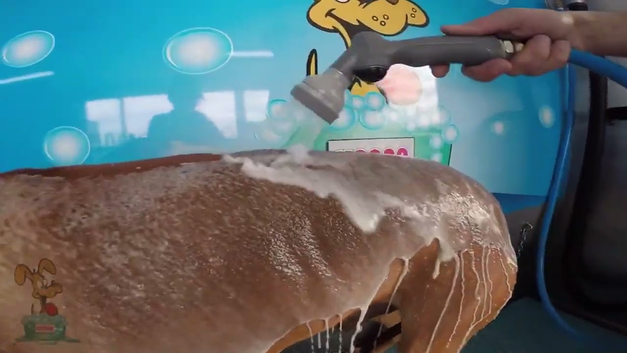 K9000 Dog Wash Hero Video
