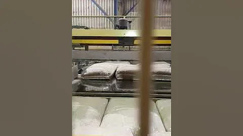 Essegi CTS 80 form fill seal machine  Video 2022 1...