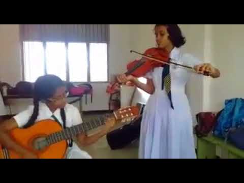 despacito-violin-version---sri-lanka