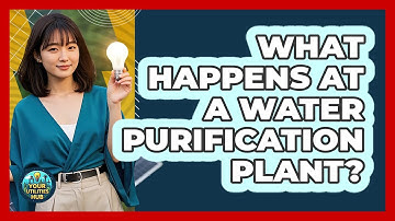 What Happens at a Water Purification Plant?