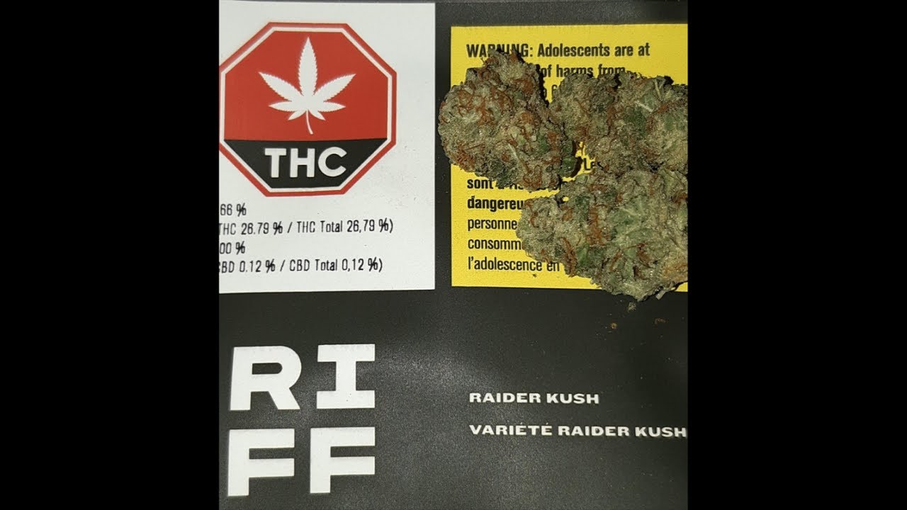 RAIDER KUSH 26.8% THC ☠️ ☠️ ☠️