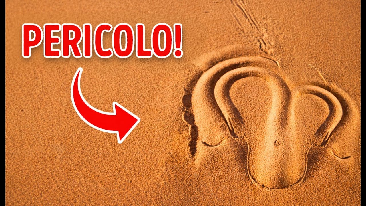 Se Vedi Questo Segno nella Sabbia, Scappa!