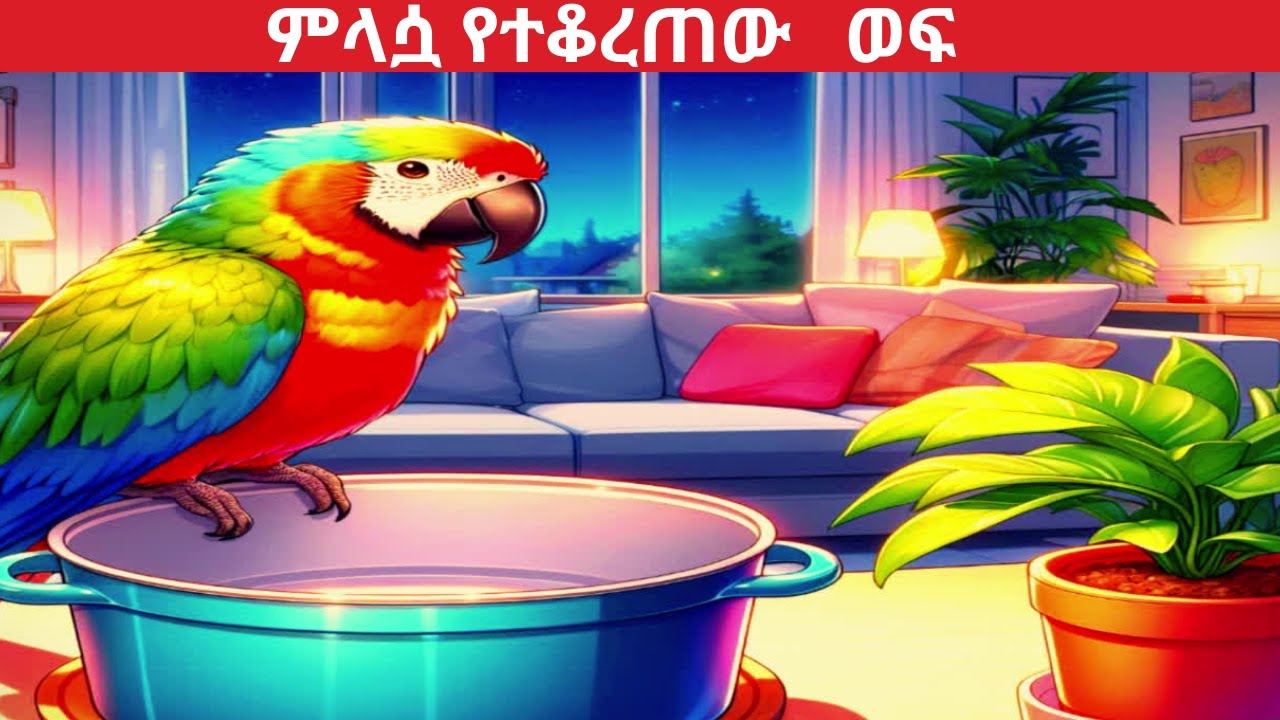 new-teret-teret-amharic-fairy-tales-new-teret-youtube