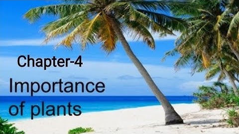 Ch -4//Importance of Plants// Part-E // Question Answers//Class-3rd#DAV book# The living world.