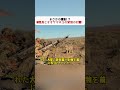 まさかの遭遇!? 研究員とオオヤマネコの緊張の対面! #オオヤマネコ #野生動物 #研究調査 #緊迫の瞬間 #自然観察