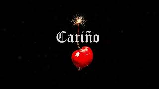 [HARD] Spanish Type Dancehall Beat Cariño Latin Instrumental 2023