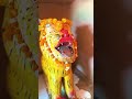 Satrunda mataji #bilpank #love #matasherawali #virupaksha #song #mataraniarti