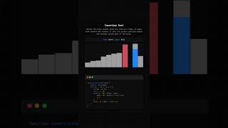 Insertion Sort Visualization Slowed