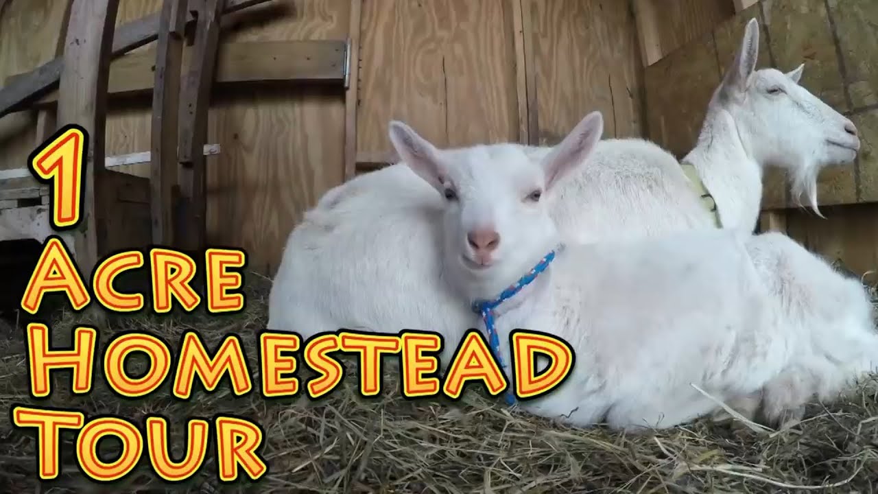 How FAR We Have Come | A Big Family Homestead VLOG - YouTube