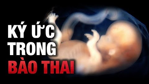 Bạn có chắc mình không có những ký ức này??