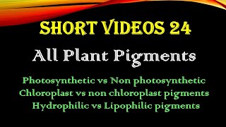 All Plant Pigments | Photosynthetic & Non Photosynthetic | Hydrophilic And Hydrophobic Pigments