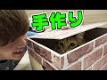 【100均】猫小屋を手作りしたら大好評だった！