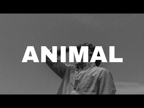 Animal Rauf Faik Vietsub Lyrics