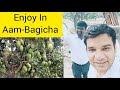 ENJOY IN AAM-BAGICHA #viral #viralvideo #youtubeshorts #youtuber #aam #aambagicha #enjoy #fruit