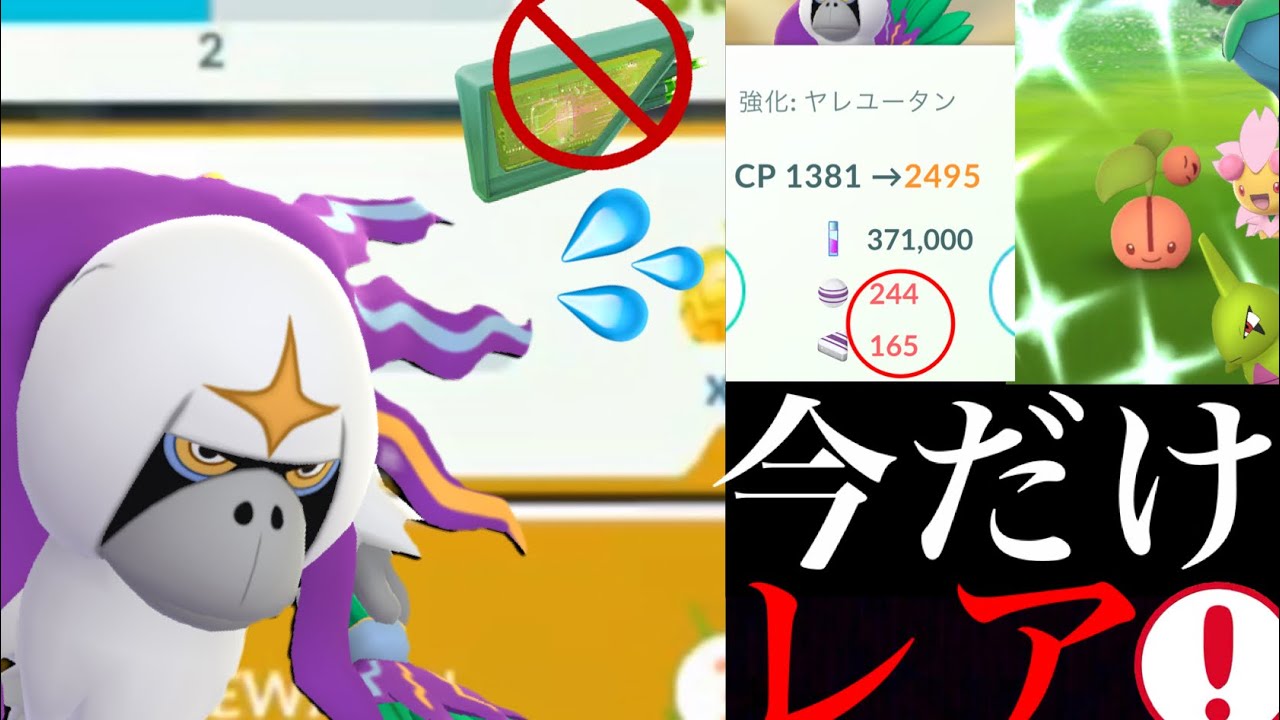 ポケモンgo あの ボーナス変更 後悔しない為にヤレユータンは今のうちに沢山ゲットしておくべき サスティナビリティウィーク 色違いポケモン チェリンボ Youtube ポケモンgo あの ボーナス変更 後悔しない為にヤレユータンは今のうちに沢山ゲットしておくべき サスティナビリティウィーク 色違いポケモン チェリンボ Youtube