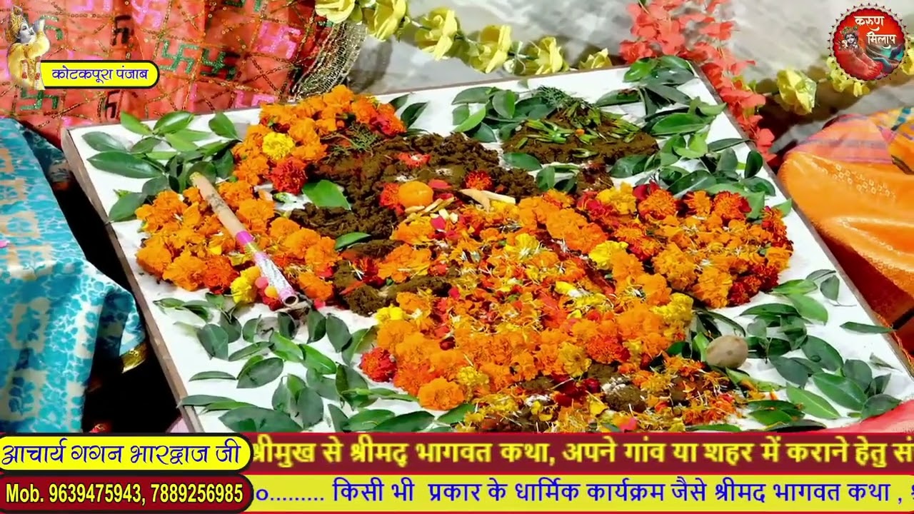 श्री गोवर्धन महाराज तेरे माथे मुकुट विराज राय आचार्य गगन भारद्वाज जी द्वारा