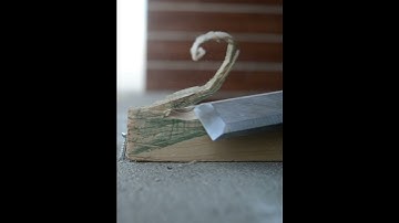 Chiseling A Mortise #shorts #woodworking #asrmsounds #oddlysatisfying  #satisfying #chisel #asmr