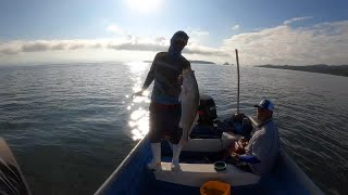 Mantarraya Enorme y Pesca de CurVinas Reina en el Golfo. Costa Rica.