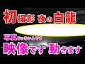 ⚠️【まさかの奇跡】龍神様にご縁を感じる方はどうぞご覧ください