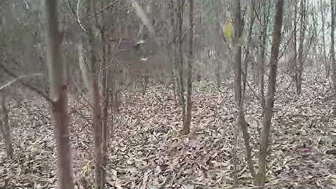 Bán nhanh 1 mẫu 1 ( 10.970m2) Đất Xã Láng Lớn, Huyện Châu Đức, BRVT